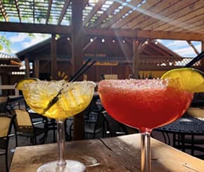 Margarita Monday & Music Video Bingo!